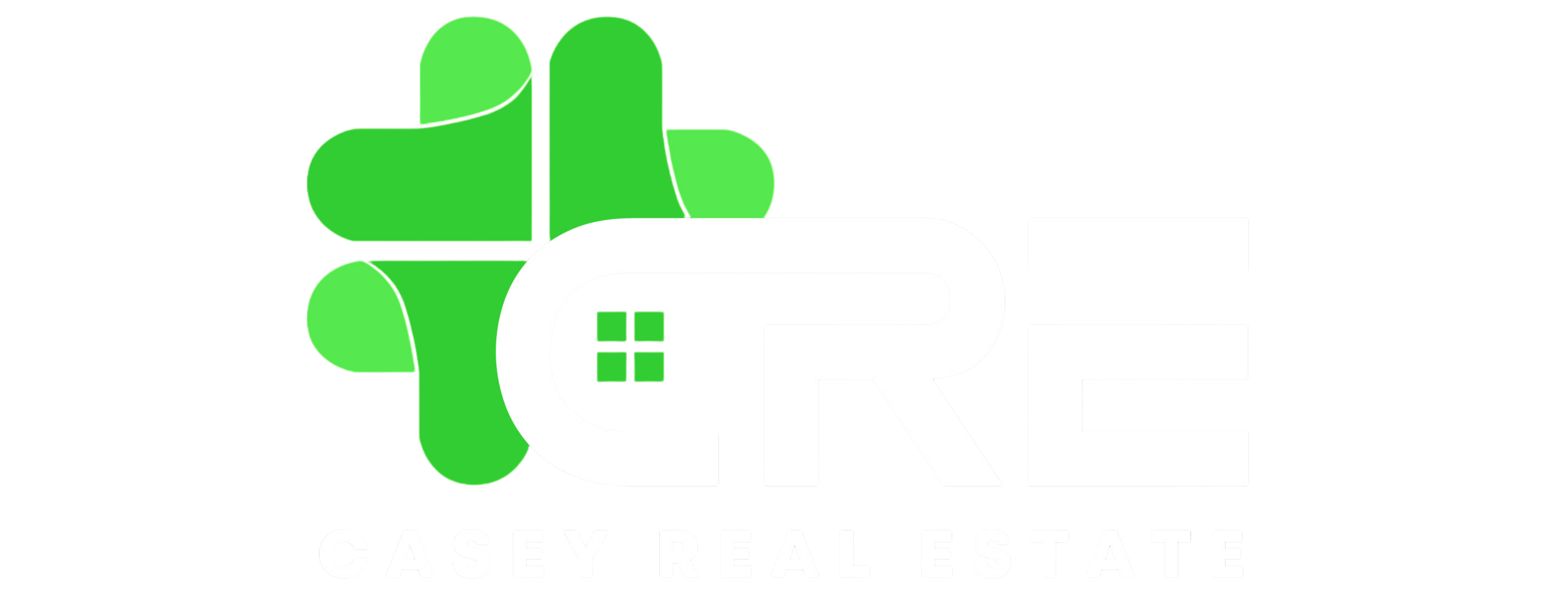 Company Name